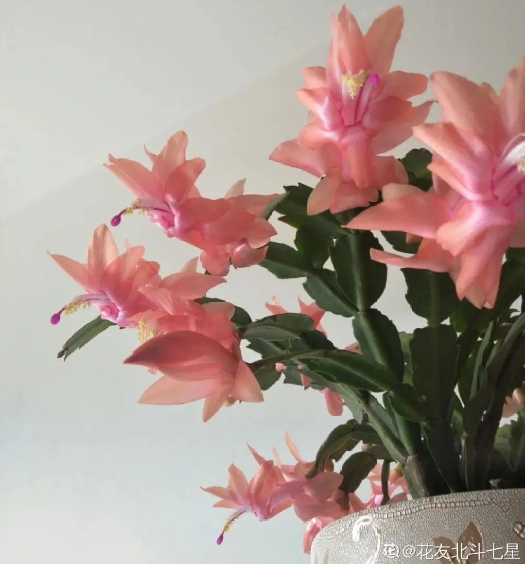 微信图片_20220420101144.jpg 微信图片_20220420101144.jpg